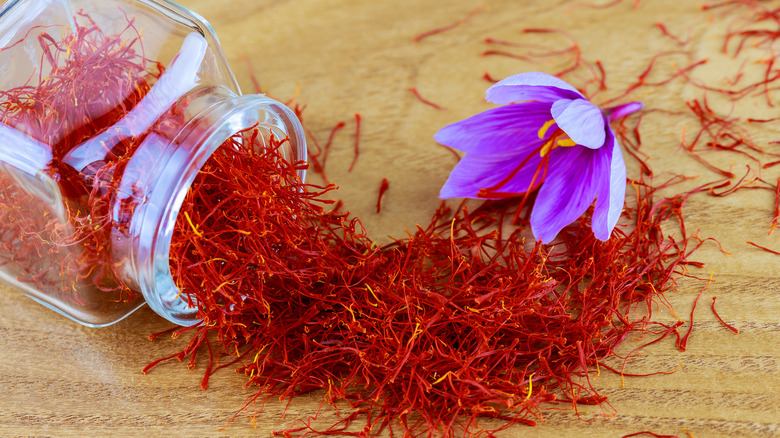 Saffron stigmas with purple crocus flower