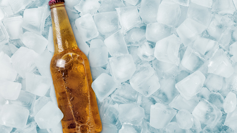 beer bottle on cubed ice