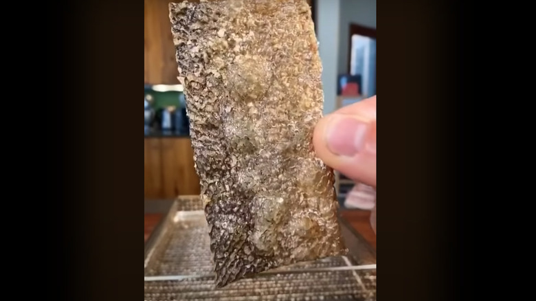 person holding crispy salmon skin