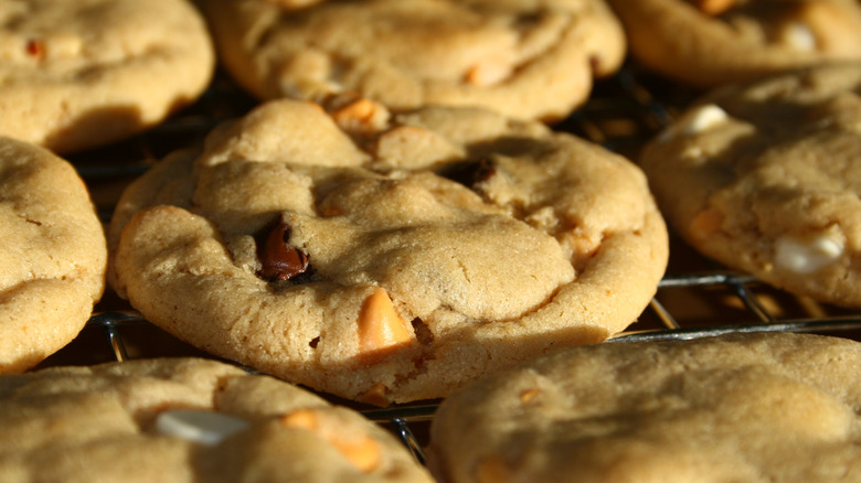 chocolate chip butterscotch cookies on cooling rack