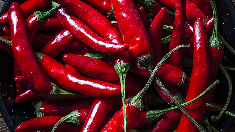 Pile of chile peppers