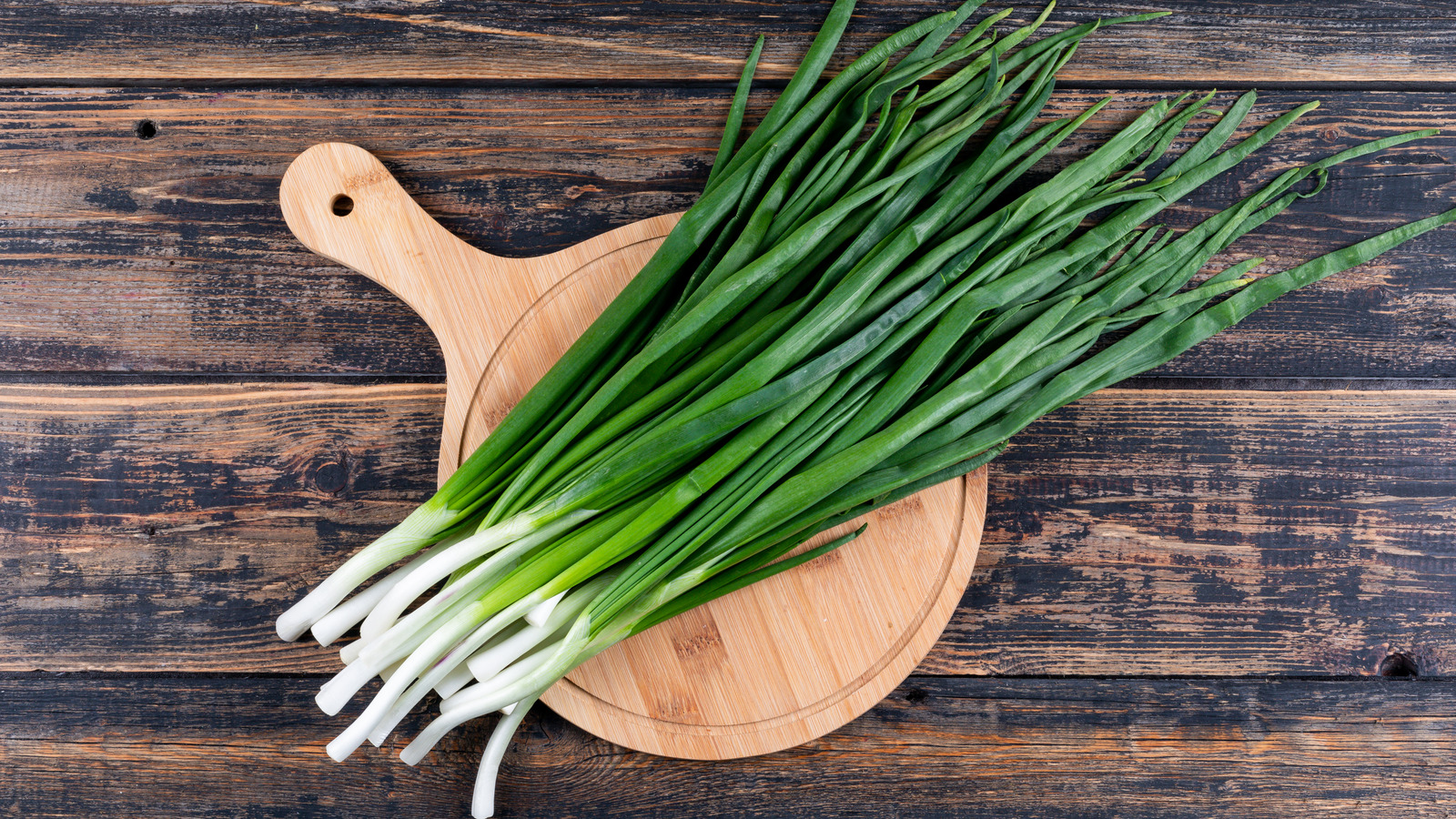 https://www.thedailymeal.com/img/gallery/add-curled-green-onions-to-your-salad-for-a-deliciously-decorative-look/l-intro-1685553630.jpg