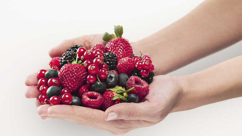 A person holding fresh berries