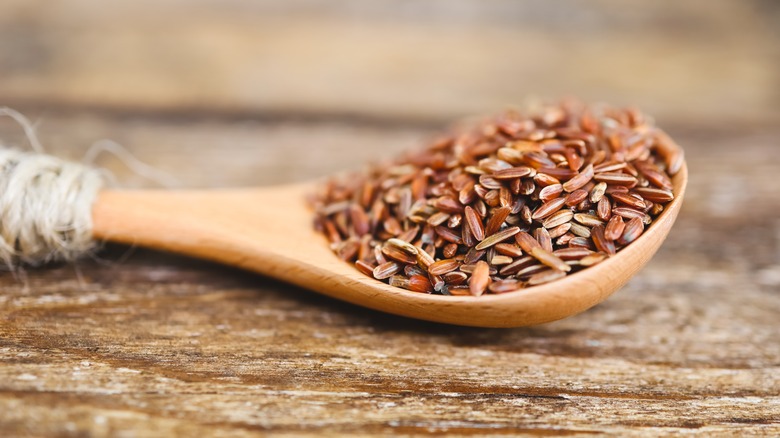 a wooden spoon filled with red rice grains