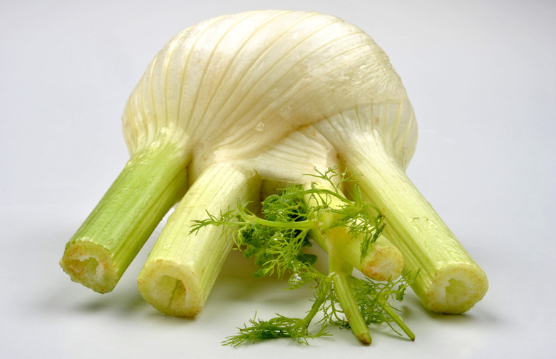 Fennel