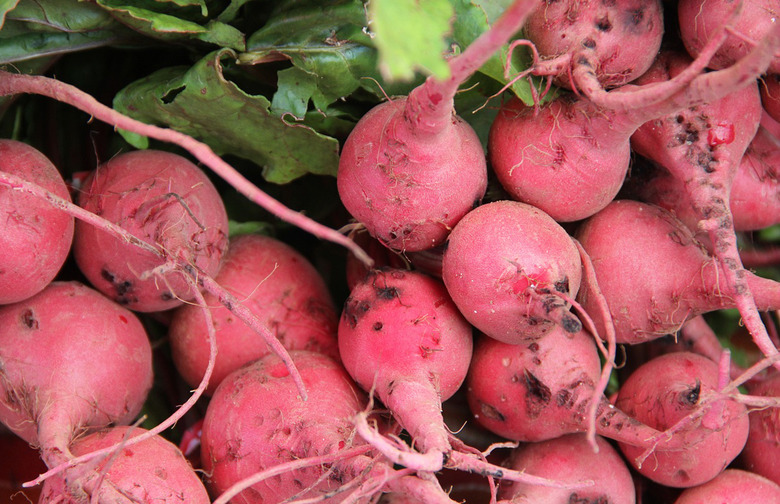 Radishes