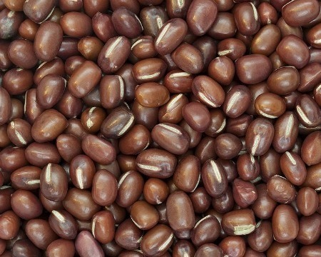 Azuki Beans