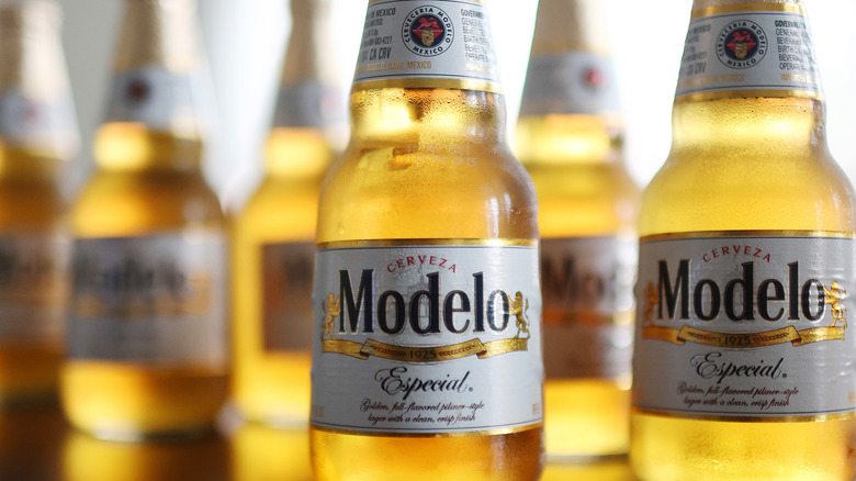 Modelo Especial in glass bottles