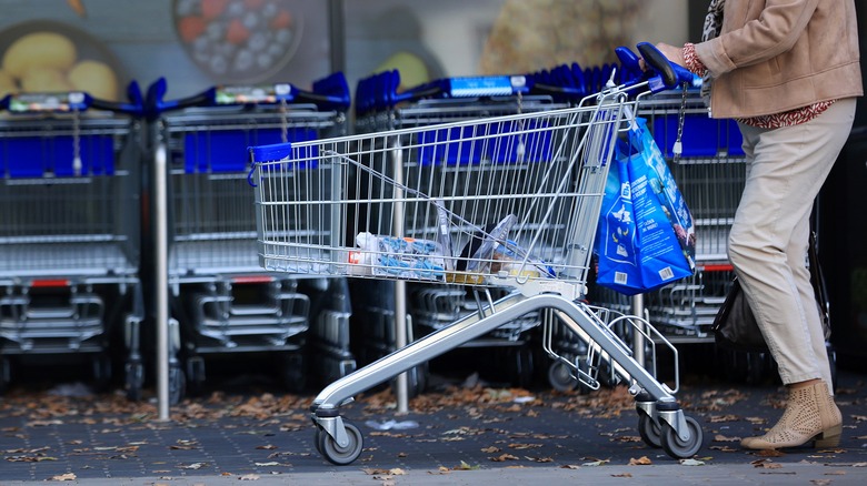 Person pushing an Aldi shopping cart