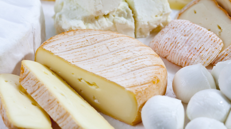 Assortment of soft cheeses