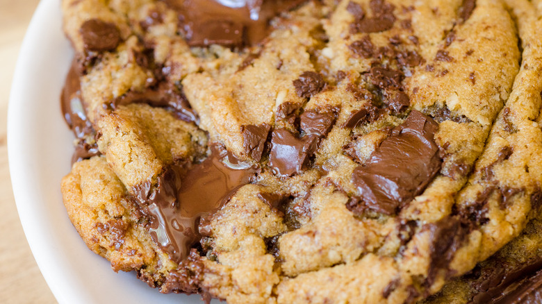 chocolate chip cookie close up