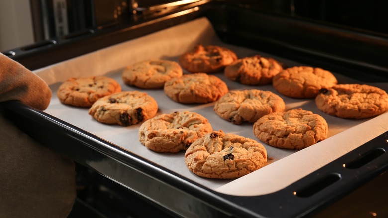 Close up of tray of chocolate chip cookies