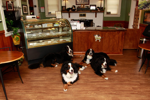 3) Working Dog Bakery, Suffolk, Va.