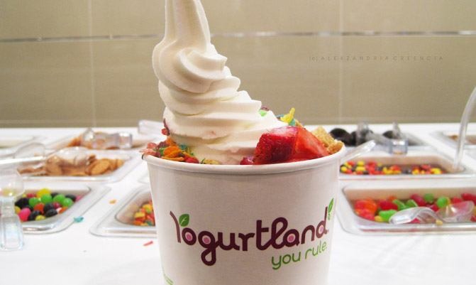 America #39 s 13 Best Frozen Yogurt Chains