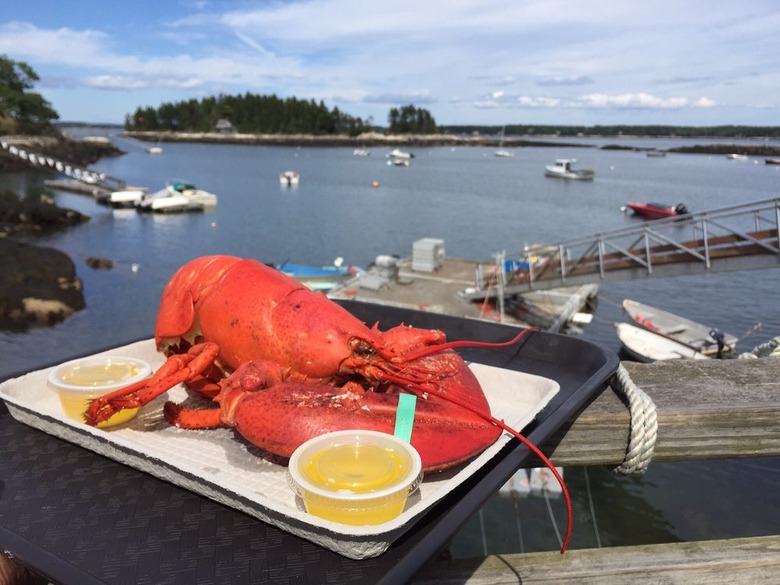 Five Islands Lobster Company (Georgetown, Maine)