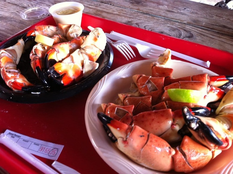 City Seafood (Everglades City, Florida)