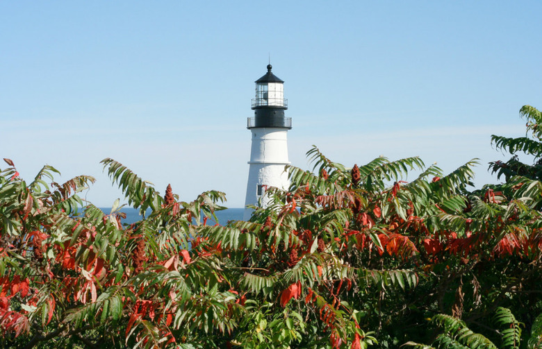 #4 Fort Williams Park, Cape Elizabeth, Maine