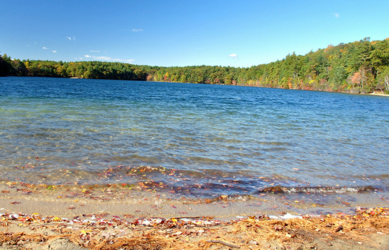 #8 Walden Pond, Concord, Mass.