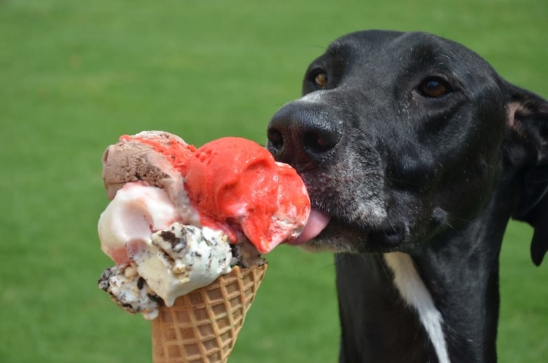 Oklahoma: Roxy's Ice Cream Social (Multiple locations)