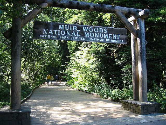 Muir Woods Trading Company, Mill Valley, Calif.