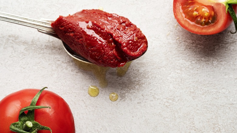 Fresh tomatoes and tomato paste in a spoon