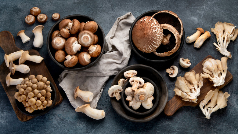 A selection of mushroom varieties 