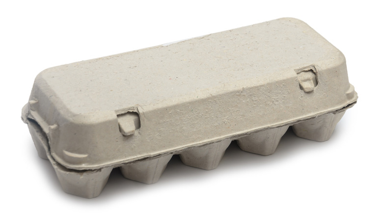 Closed cardboard egg carton