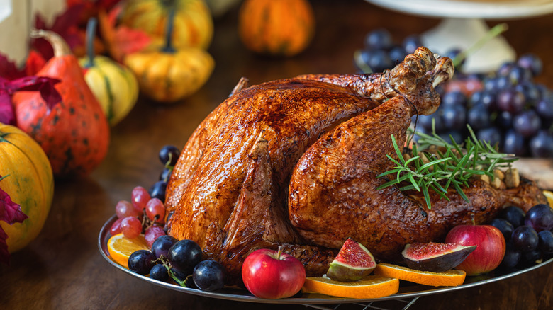 Roast turkey on platter with fruits and herbs, surrounded by gourds.