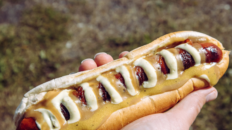 Icelandic hot dog with three condiments in bun