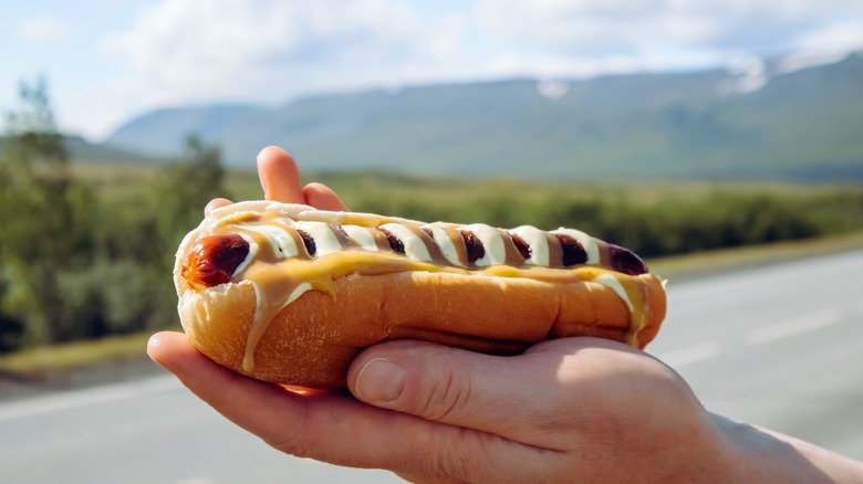 Icelandic hot dog with traditional condiments
