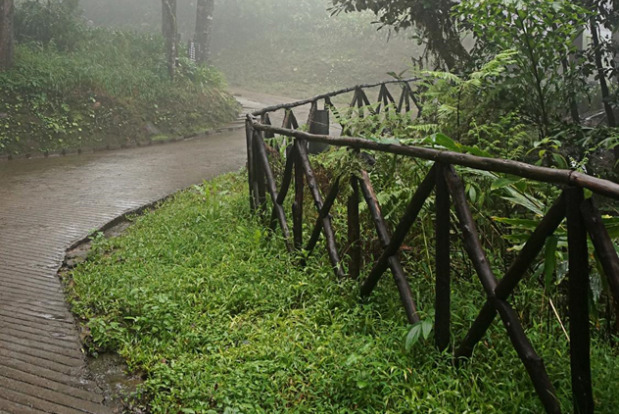 Coorg's Nature Trail