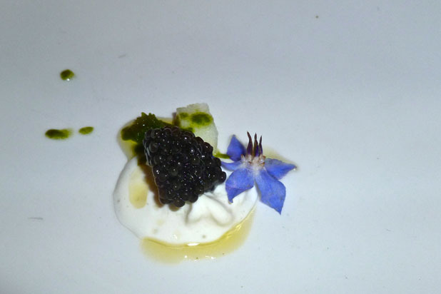 Stracciatella, Apple, Caviar, Nasturtium