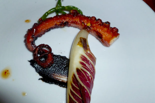 Octopus, Black Garlic, Treviso, Sea Beans