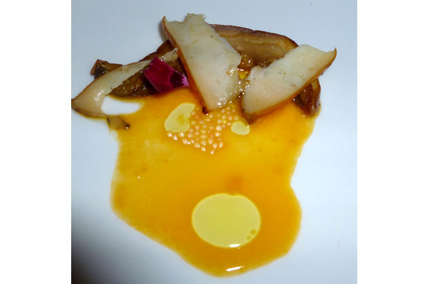 Abalone, Porcini Mushroom, Pumpkin Juice, Olive Oil