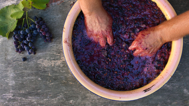 Making homemade wine