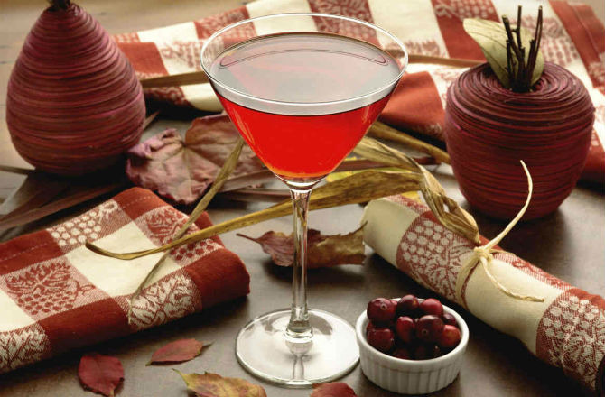 Cranberry Apple Cinnamon Martini