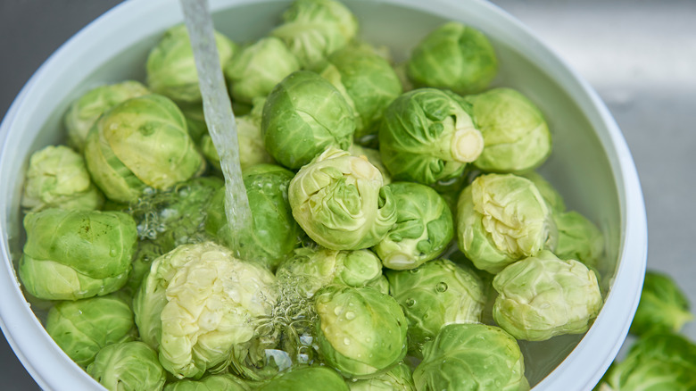 Washing Brussels sprouts