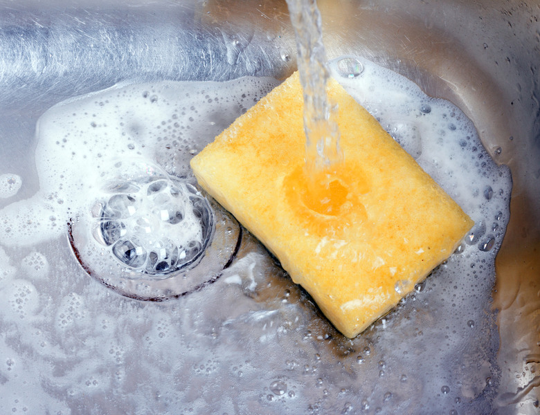 How long should you keep your sponge?