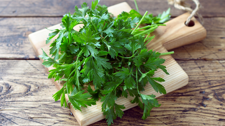 Fresh parsley on a cutting board on a wooden table