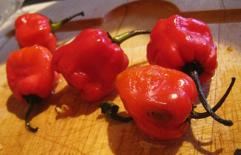 Scotch Bonnet Pepper Sauce (The Caribbean)