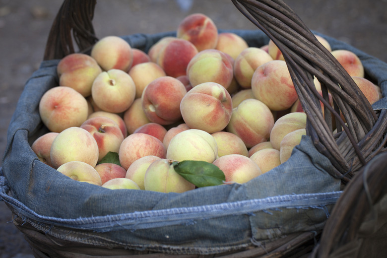 What produce is in season when?