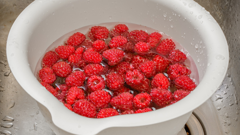 raspberries soaking in a bowl of cold water