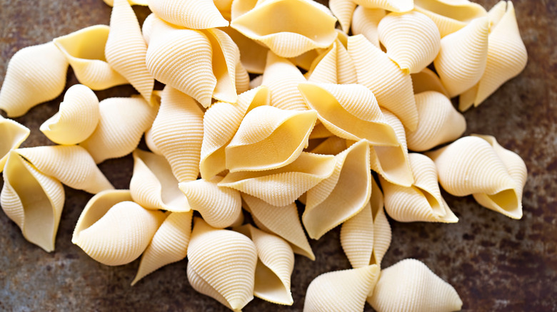 Bronze-died pasta shells