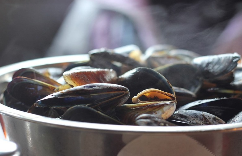 Mussels