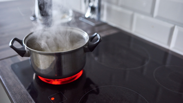 Stew simmering on stovetop