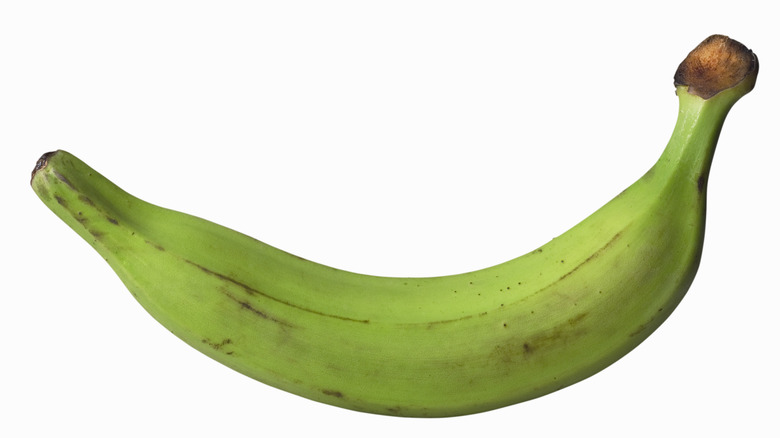 Green plantain on white background