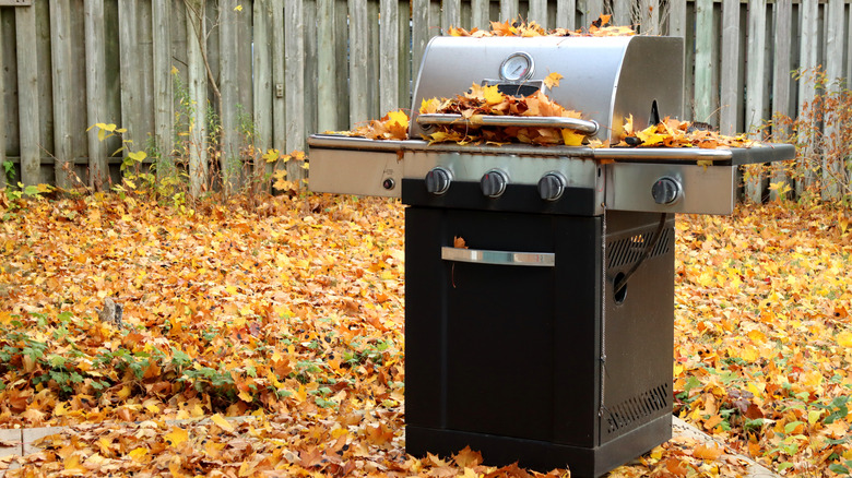 closed grill in a back yard surrounded by fall leaves