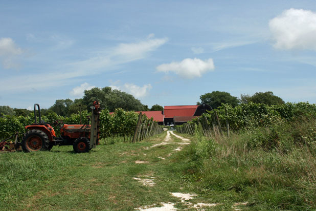 2. Farm Barn