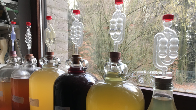 homemade wine fermenting