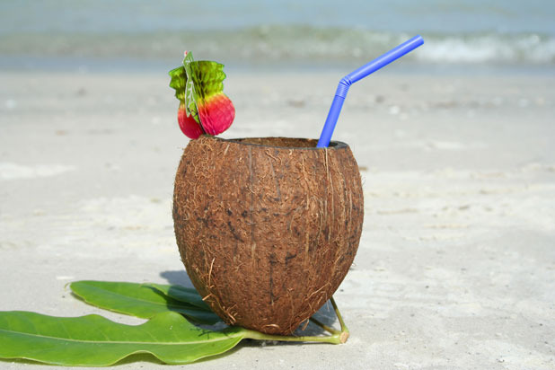 Coconut Water and Coconut Donuts (Ko Phi Phi, Thailand) 